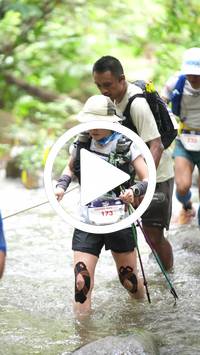 BIB:  <button type="button" onclick="openModal(26819547)" class="btn btn-primary btn-sm float-right" data-toggle="modal" data-target=".modal-high-quality">
                <i class="fa fa-download"></i> Download
                </button>